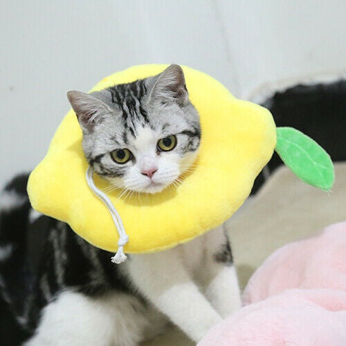 Comfort Recovery Collar for Cats - Soft Alternative to Plastic Cone