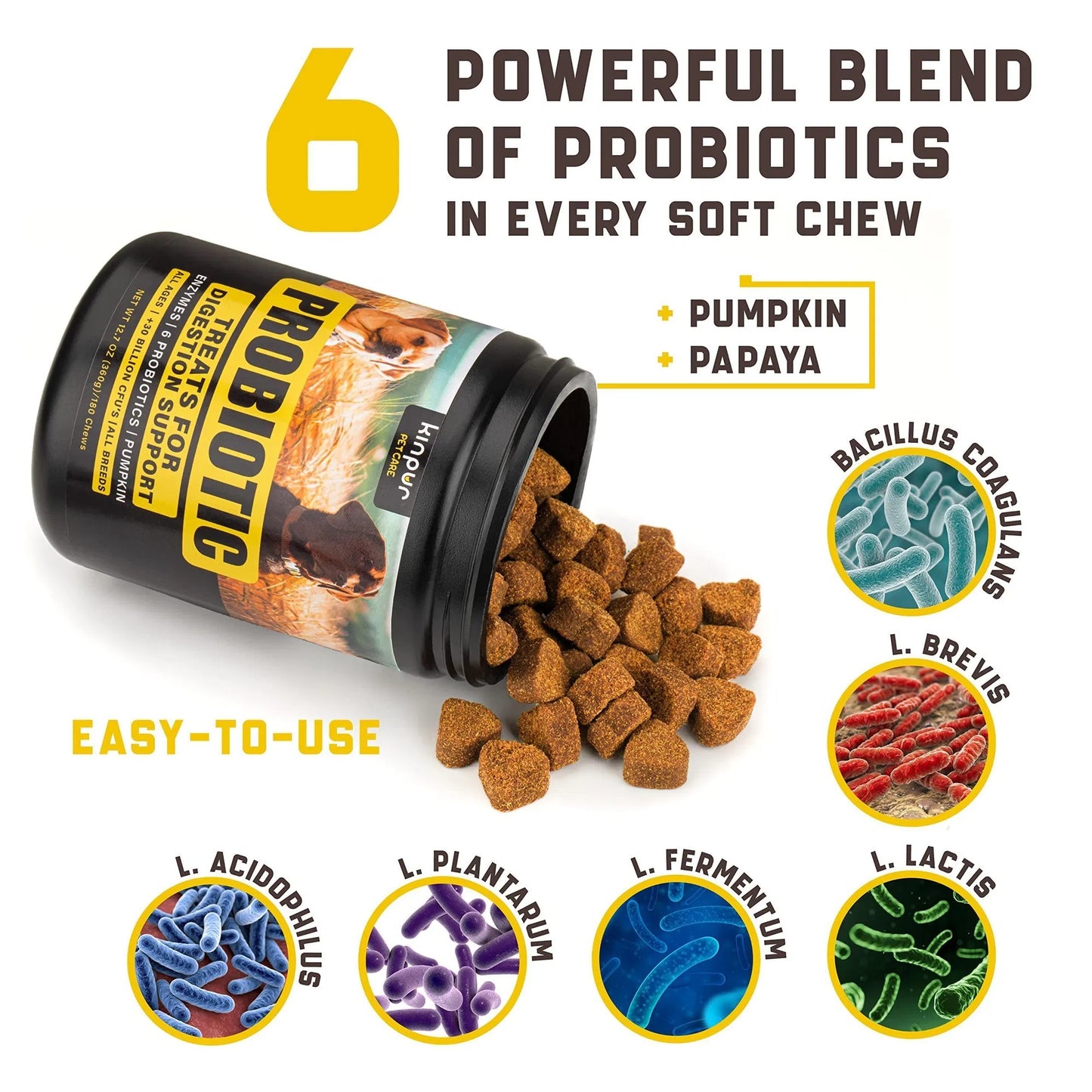 Premium Digestive Support & Probiotics - Sensitive Stomach Formula