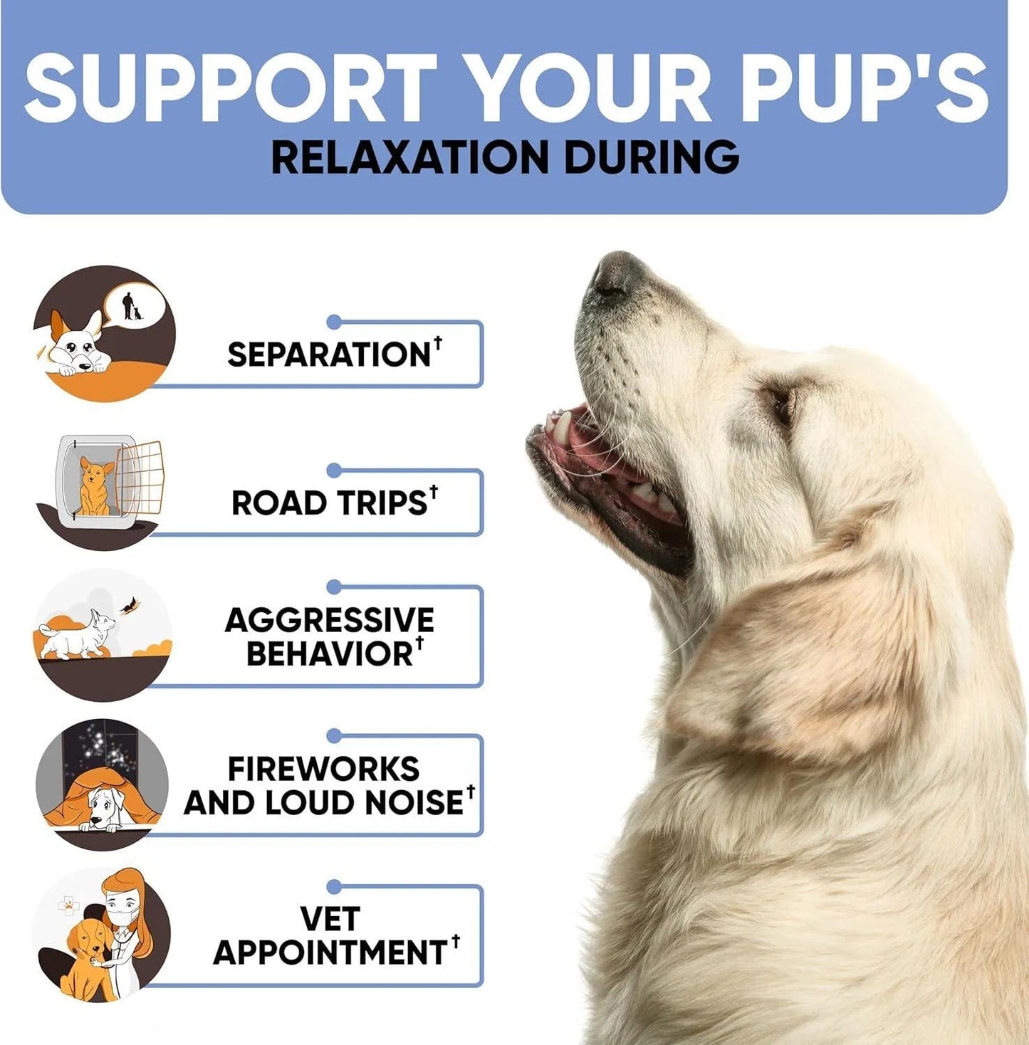 Premium Calming Support Chews - Natural Anxiety Relief