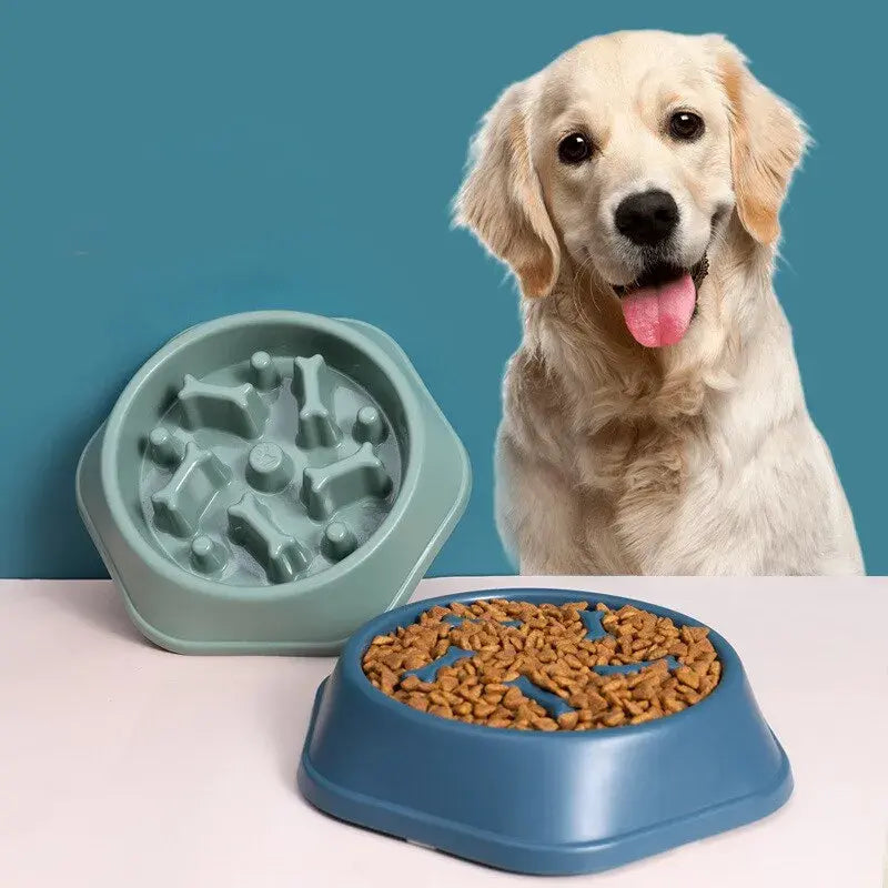 Interactive Slow Feeder Bowl - Digestive Health & Mental Stimulation