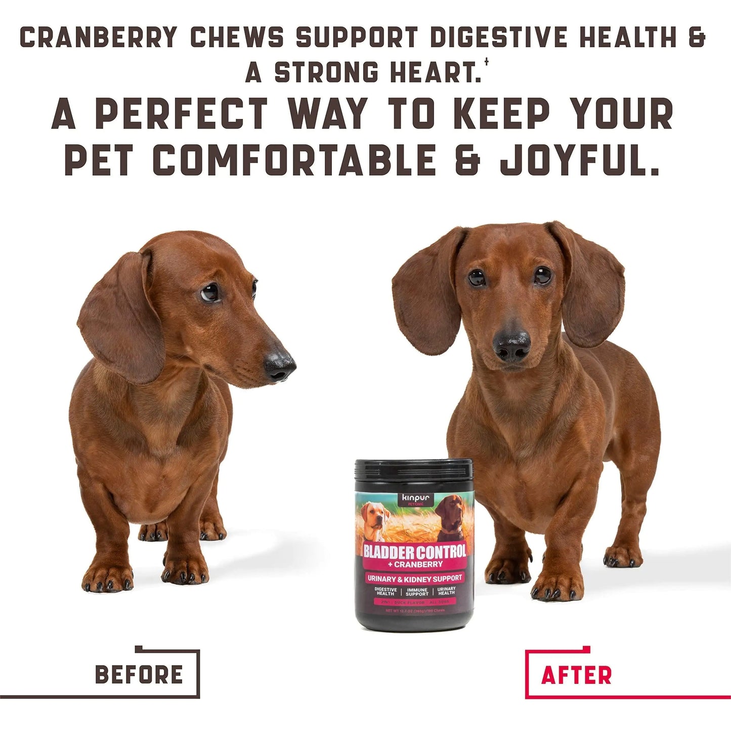 Professional Bladder Control Support Chews - Senior & Spayed Dogs