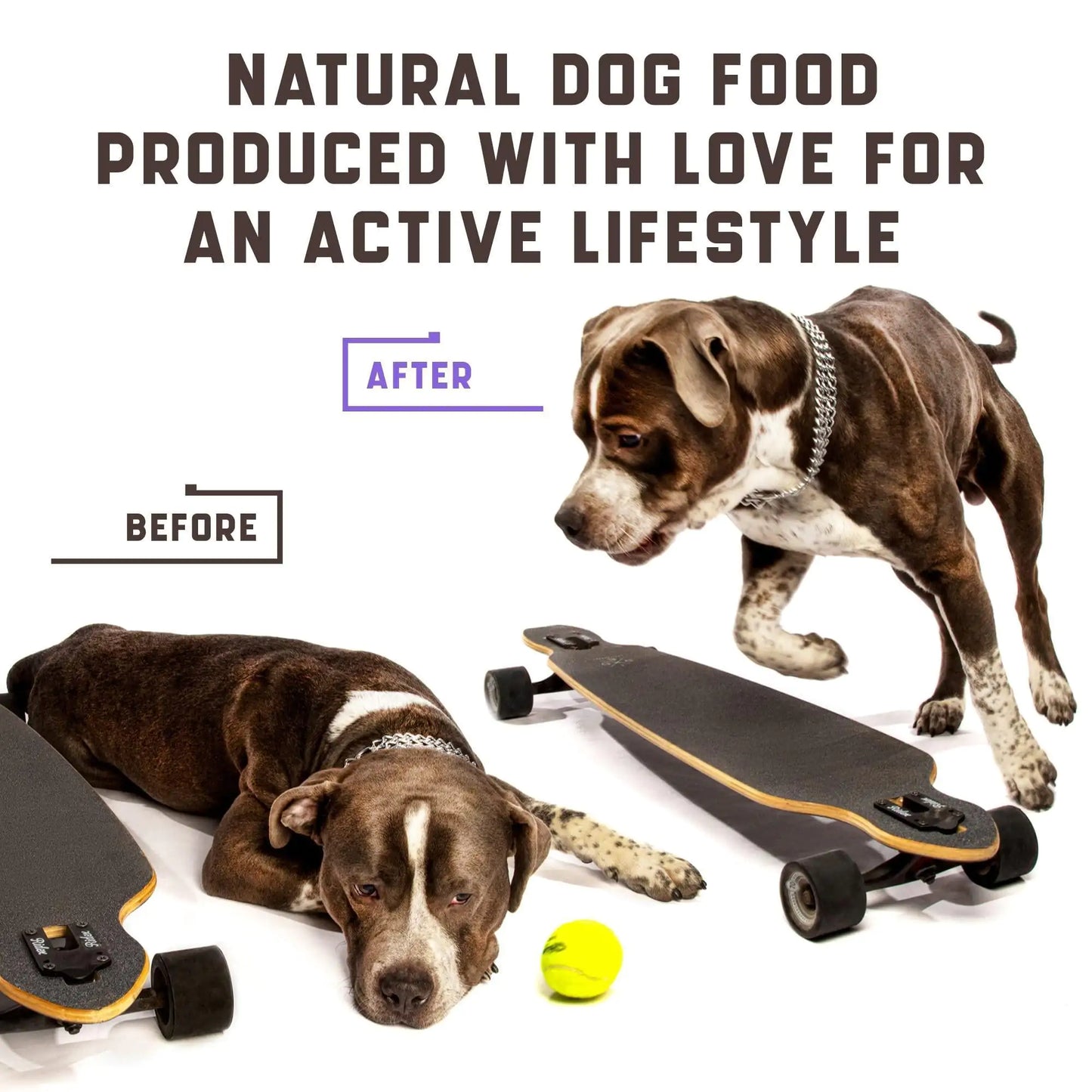 Professional Dog Joint Support - Glucosamine, Chondroitin & MSM