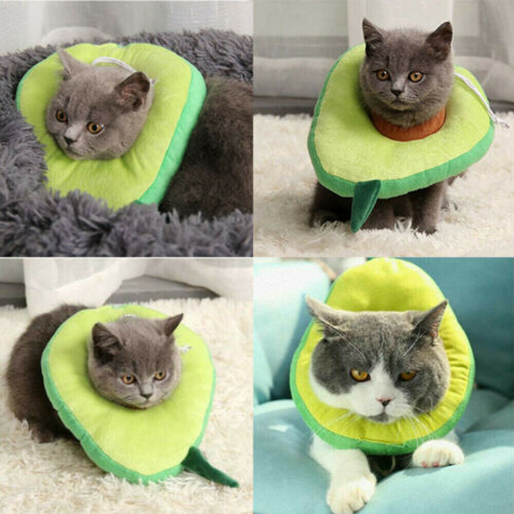 Comfort Recovery Collar for Cats - Soft Alternative to Plastic Cone