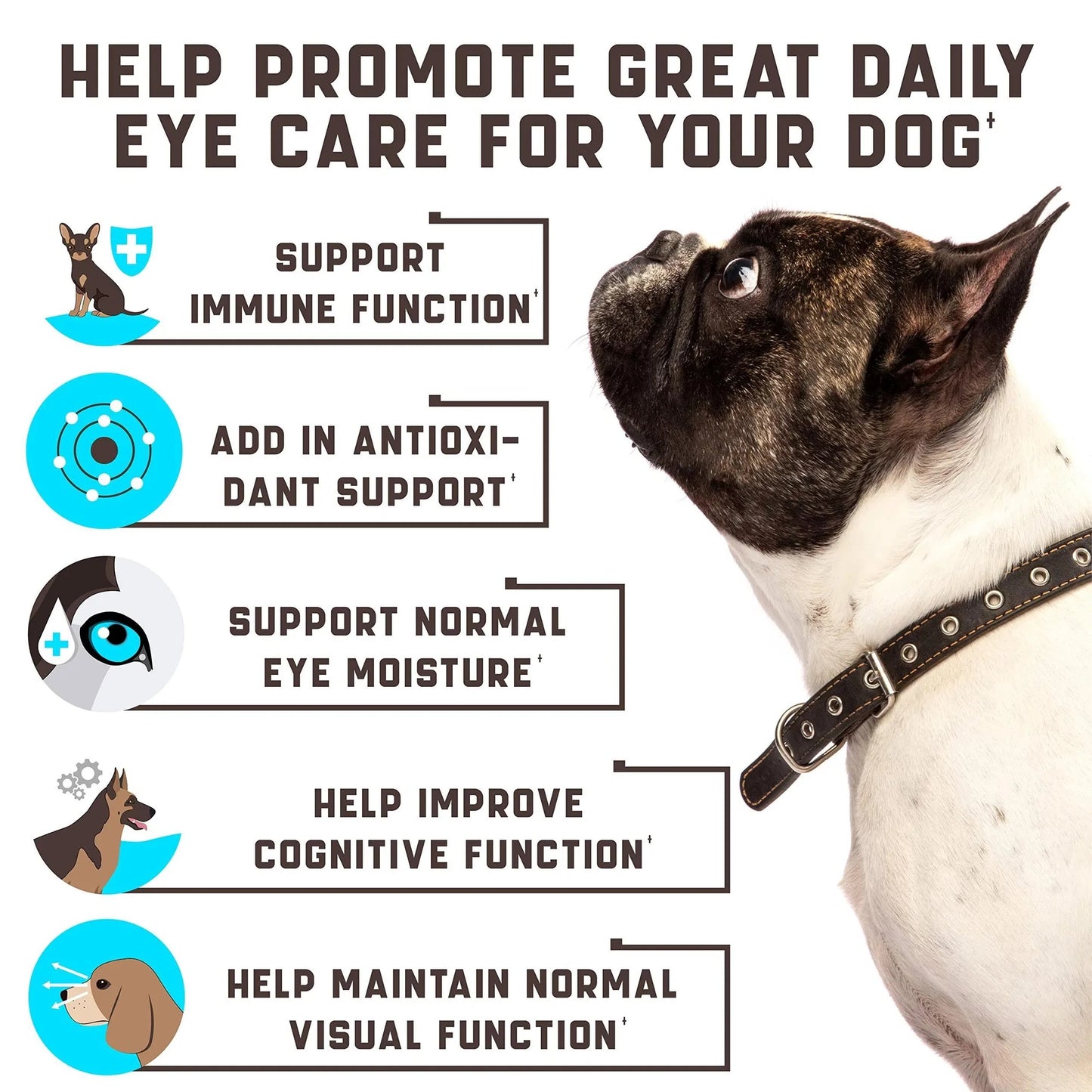 Premium Eye Health & Tear Stain Support Chews