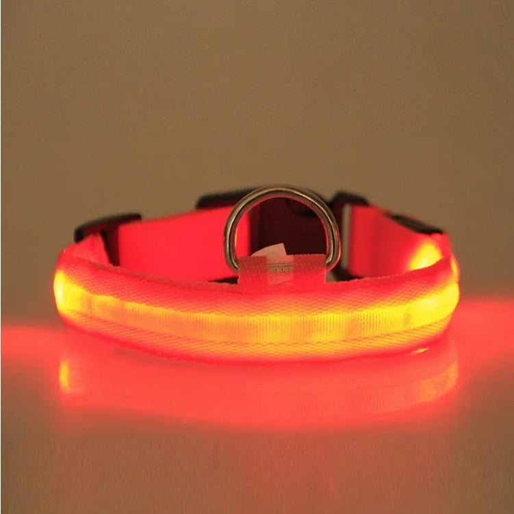 LED Safety Collar - High-Visibility Pet Protection System