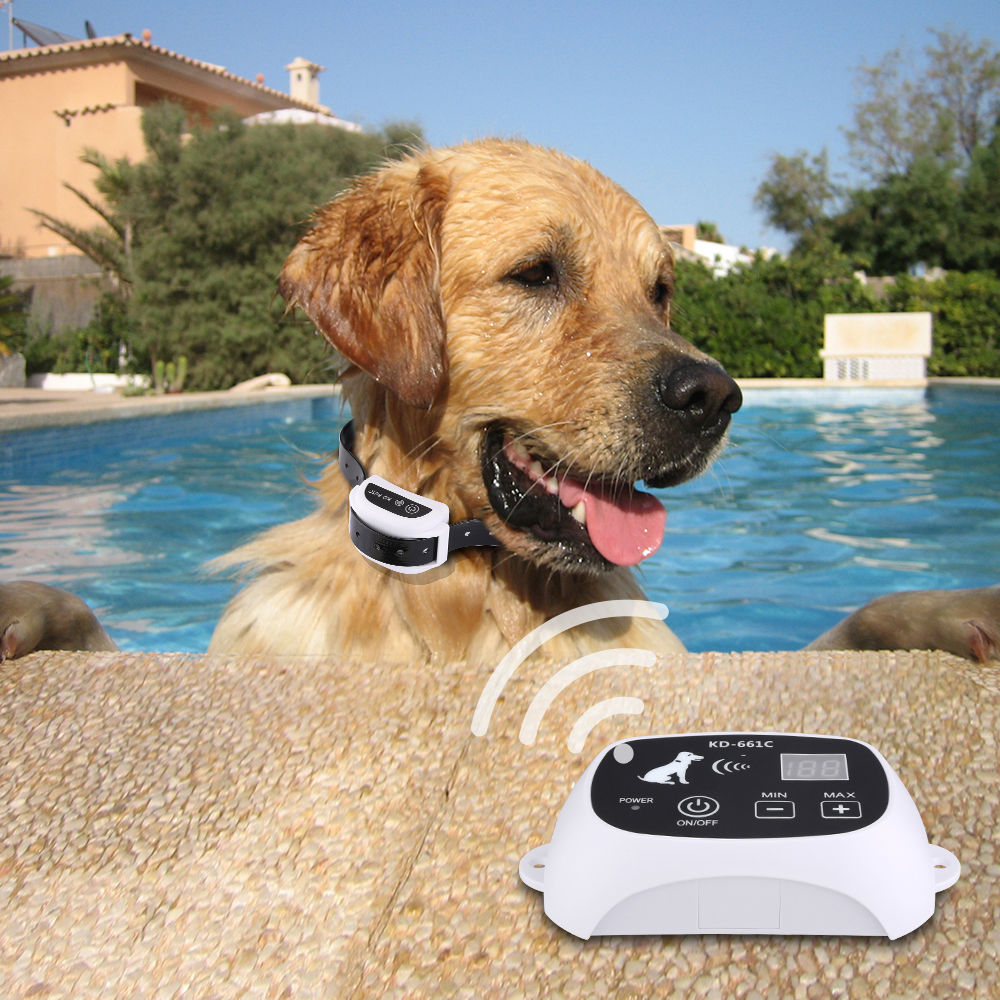 Professional Wireless Dog Fence System - Complete Boundary Control