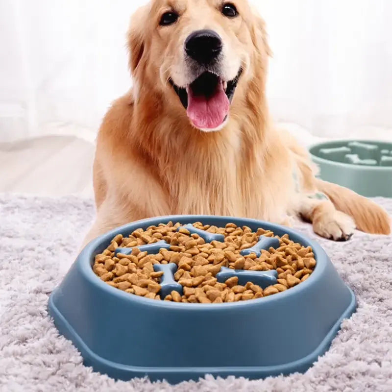 Interactive Slow Feeder Bowl - Digestive Health & Mental Stimulation