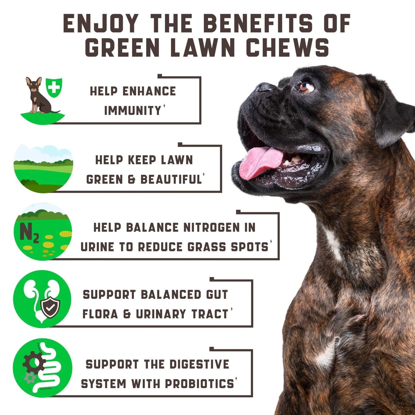 Green Lawn Protection Chews - Prevents Yellow Grass Spots