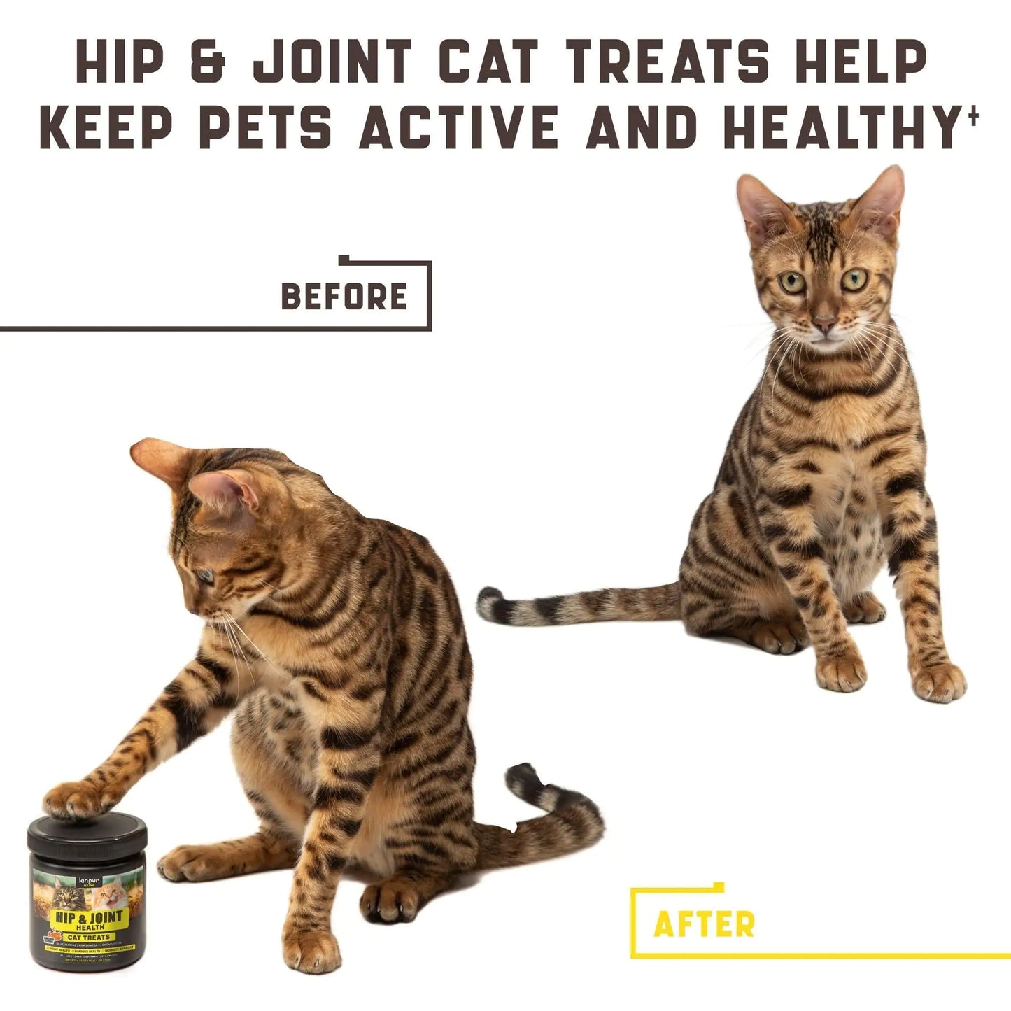 Premium Cat Joint Support - Glucosamine & Chondroitin Formula