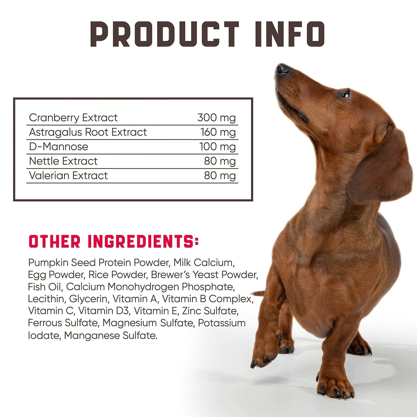 Professional Bladder Control Support Chews - Senior & Spayed Dogs