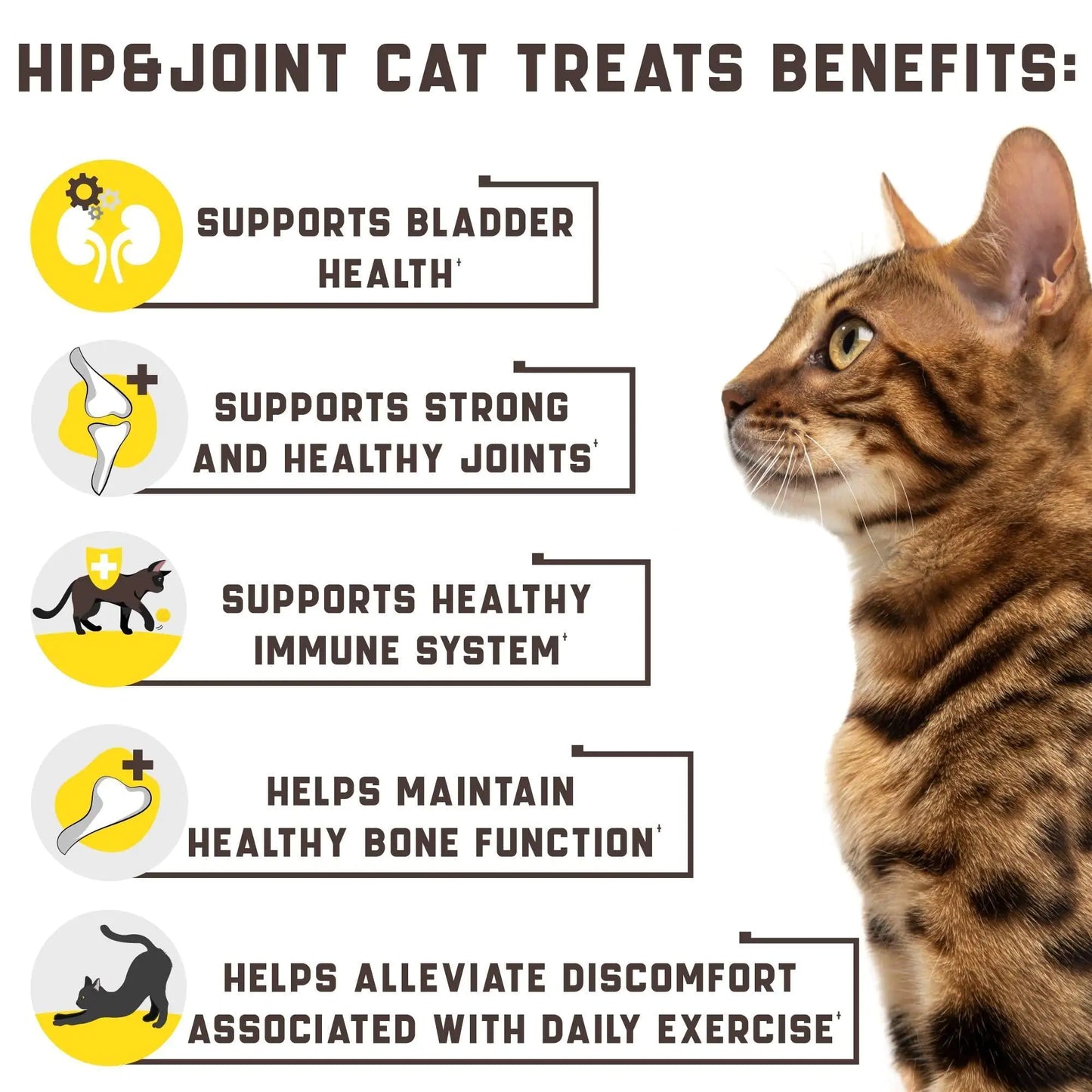 Premium Cat Joint Support - Glucosamine & Chondroitin Formula