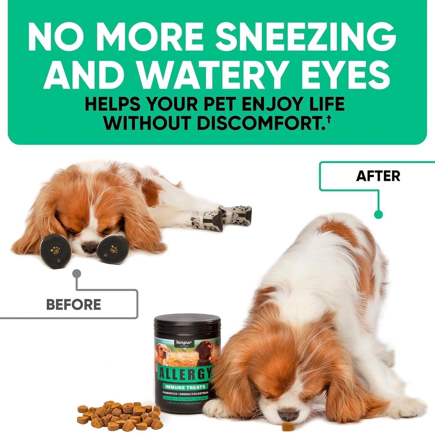 Natural Allergy Relief Chews - Anti-Itch Immune Support