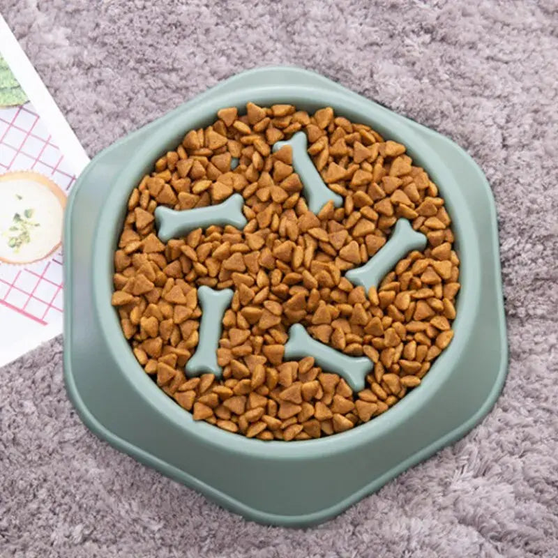 Interactive Slow Feeder Bowl - Digestive Health & Mental Stimulation