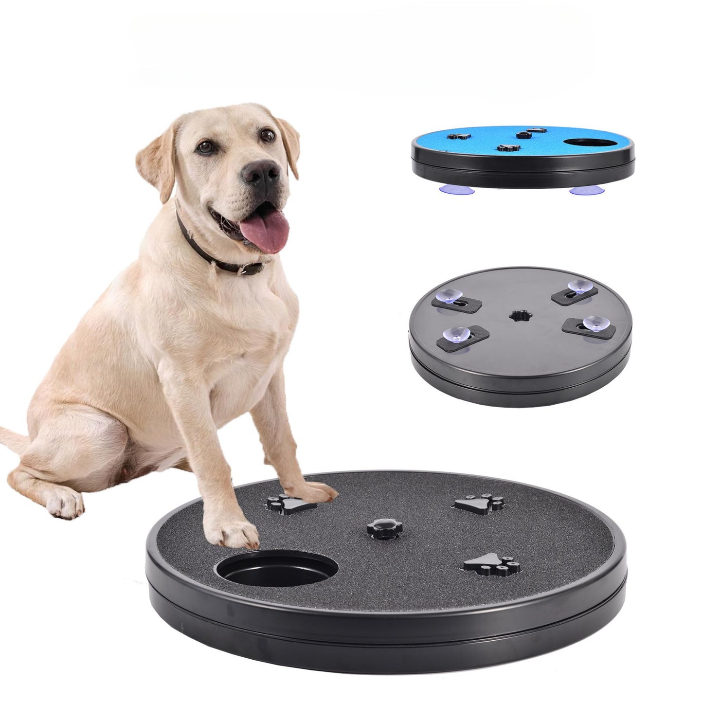 Interactive Nail Care & Enrichment System
