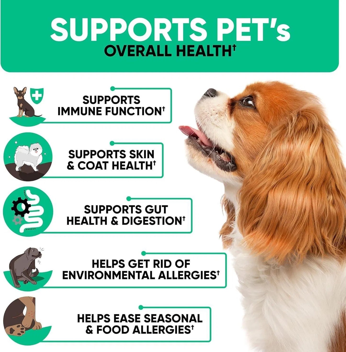 Natural Allergy Relief Chews - Anti-Itch Immune Support