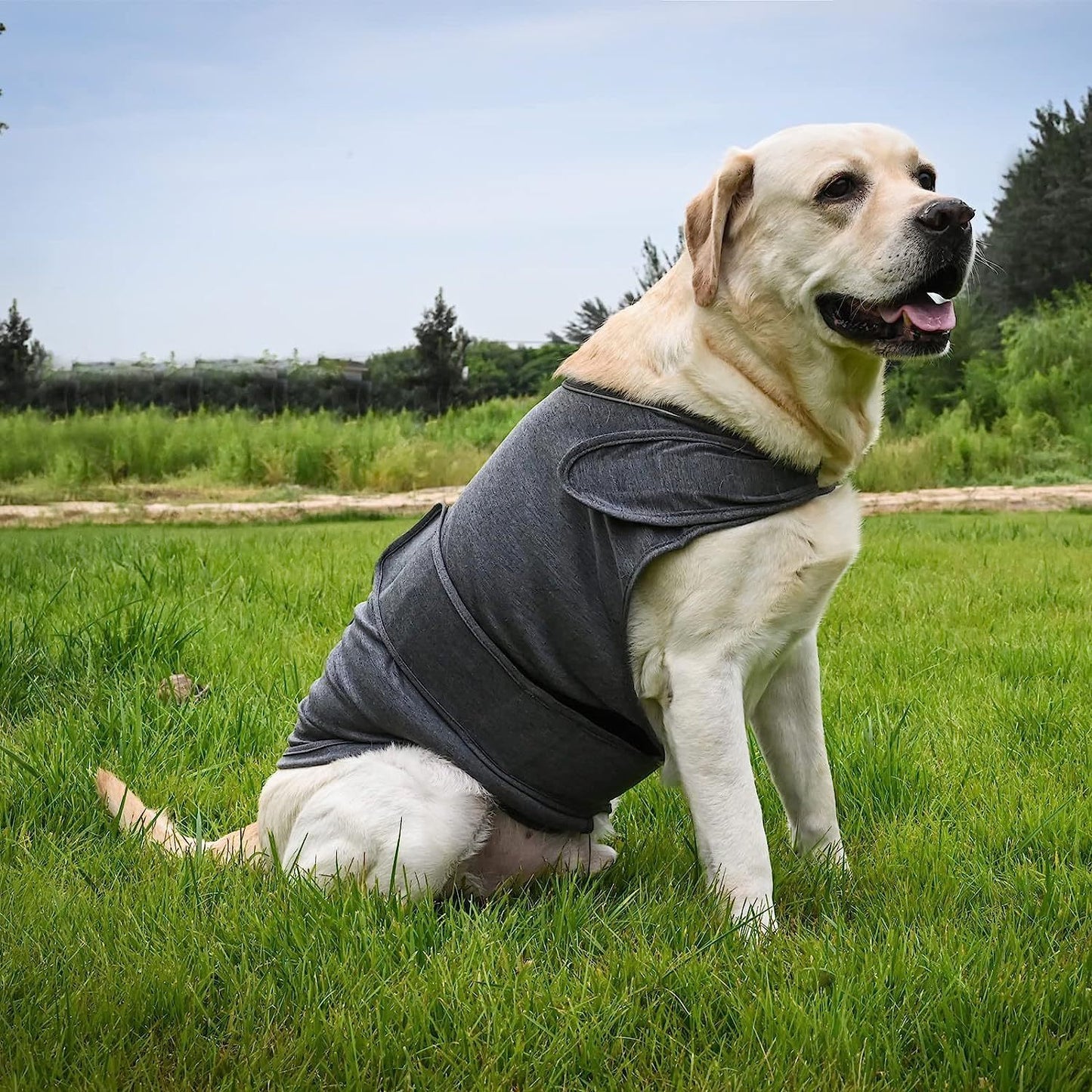 Professional Anxiety Relief Vest - Patented Thunder Vest Design