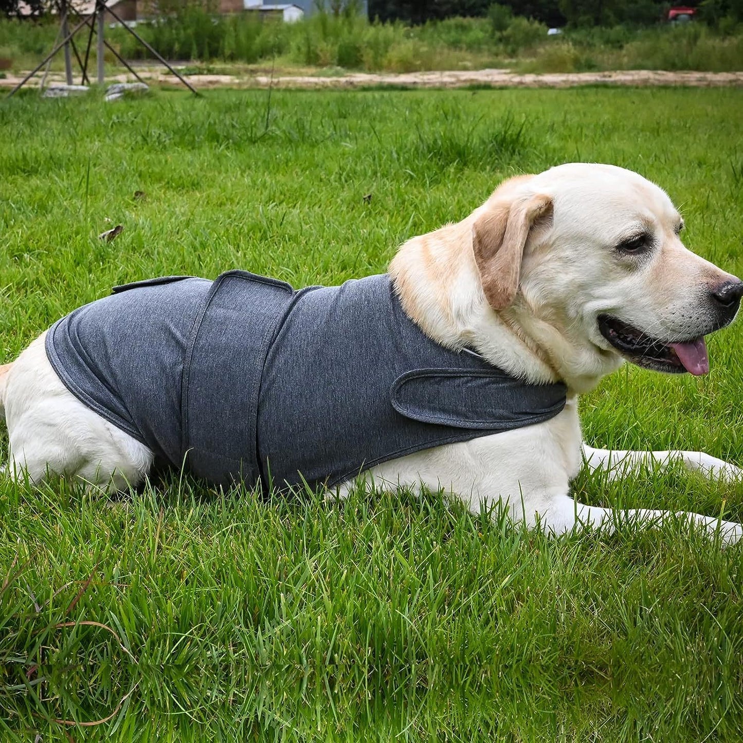 Professional Anxiety Relief Vest - Patented Thunder Vest Design