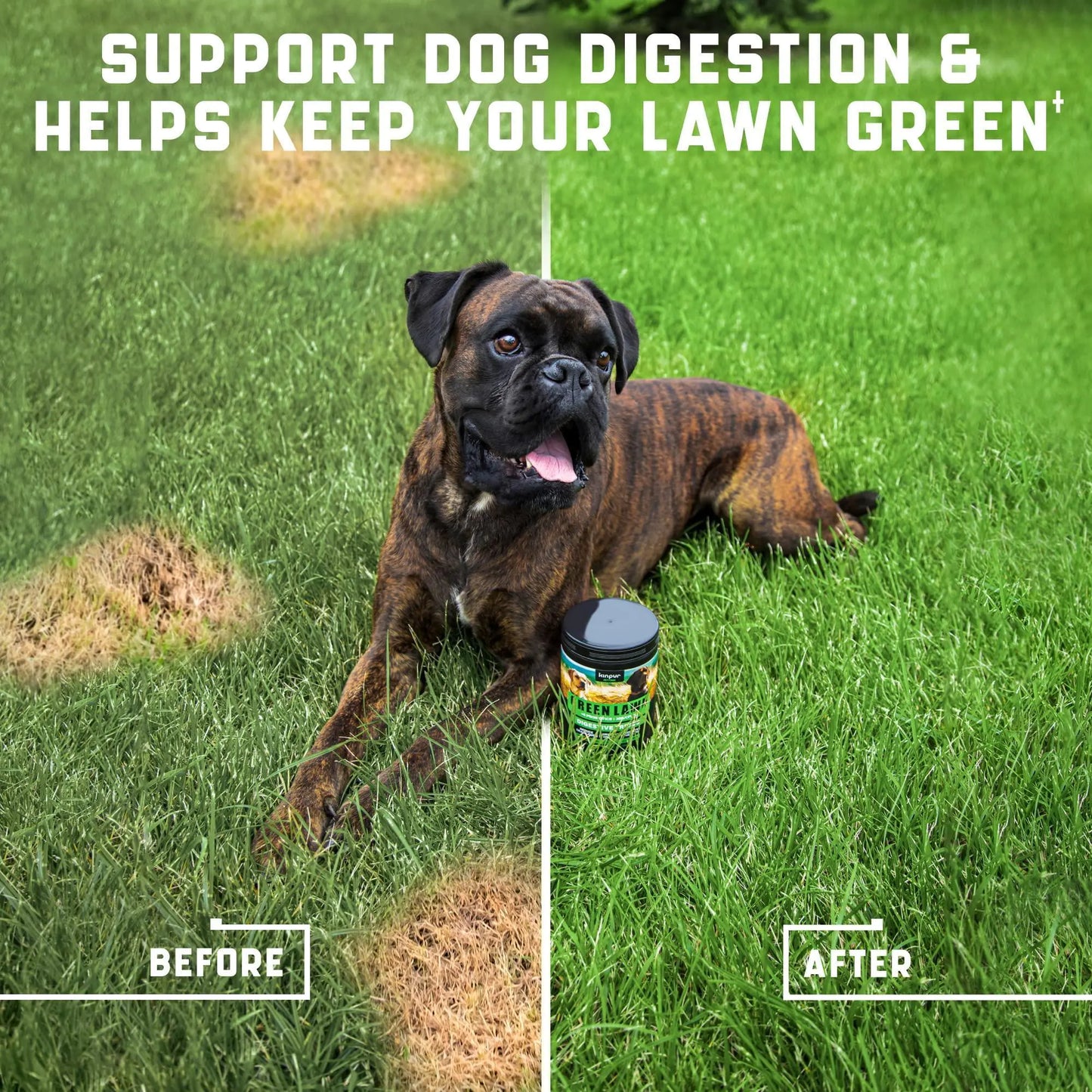 Green Lawn Protection Chews - Prevents Yellow Grass Spots