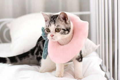 Comfort Recovery Collar for Cats - Soft Alternative to Plastic Cone