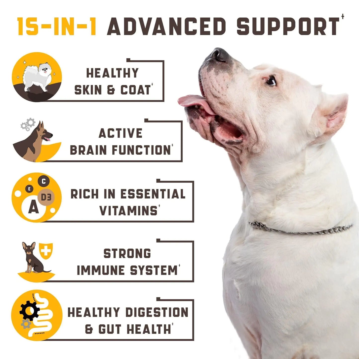 15-in-1 Premium Dog Multivitamin - Complete Health Support