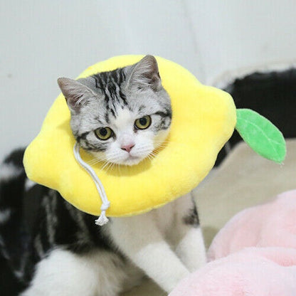 Comfort Recovery Collar for Cats - Soft Alternative to Plastic Cone