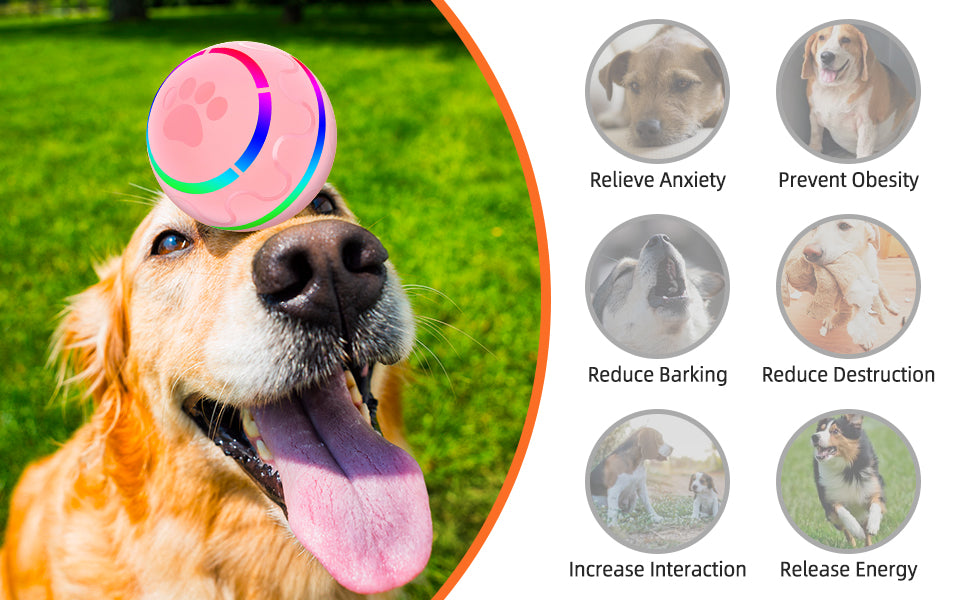 Professional Interactive Rolling Ball - Waterproof Smart Toy
