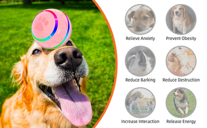 Professional Interactive Rolling Ball - Waterproof Smart Toy