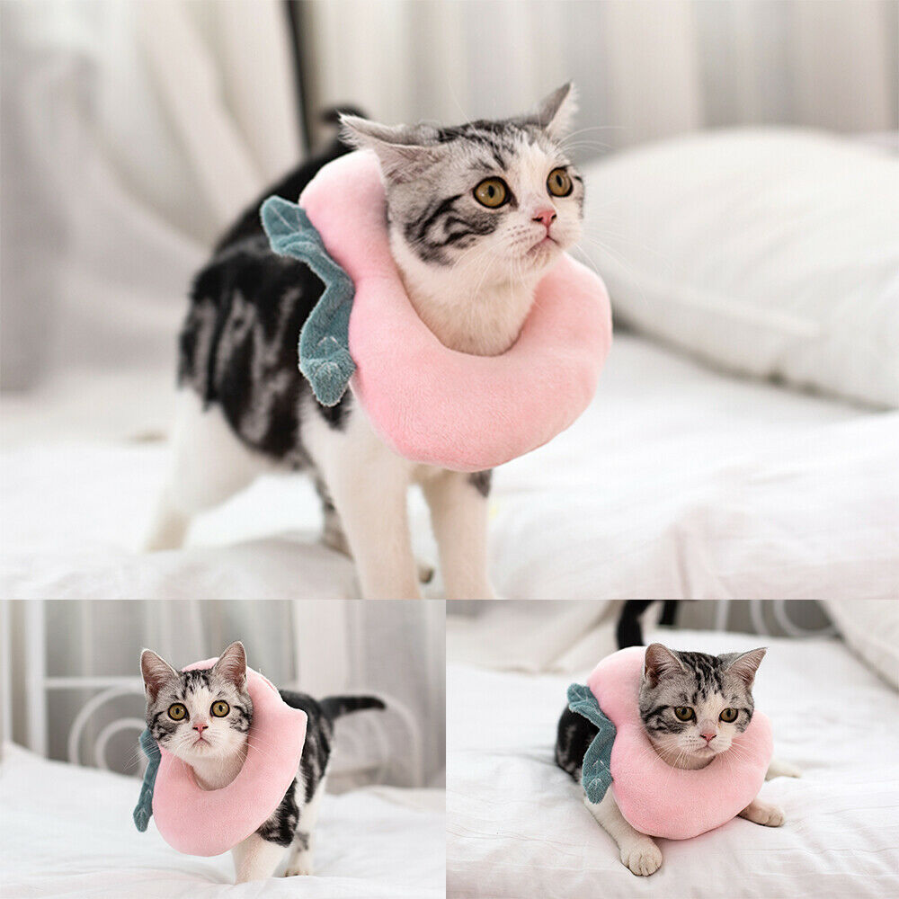 Comfort Recovery Collar for Cats - Soft Alternative to Plastic Cone