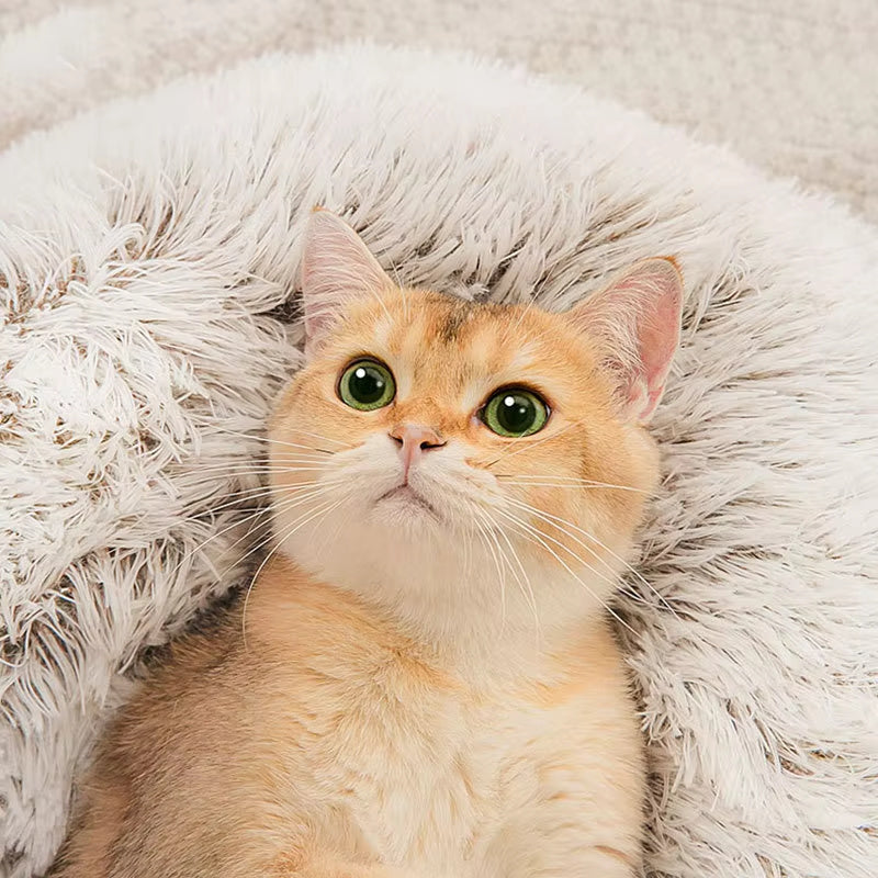 Therapeutic Plush Donut Cat Bed - Joint Support & Waterproof Comfort