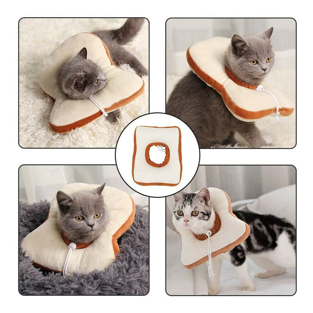 Comfort Recovery Collar for Cats - Soft Alternative to Plastic Cone