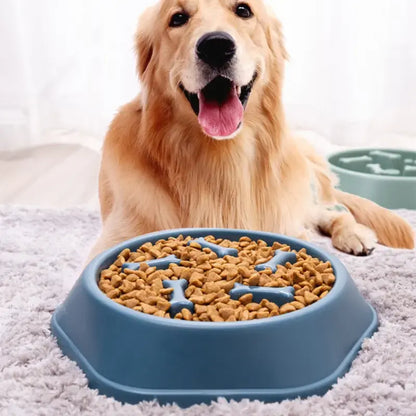 Interactive Slow Feeder Bowl - Digestive Health & Mental Stimulation