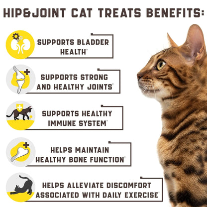 Premium Cat Joint Support - Glucosamine & Chondroitin Formula