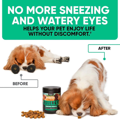 Natural Allergy Relief Chews - Anti-Itch Immune Support