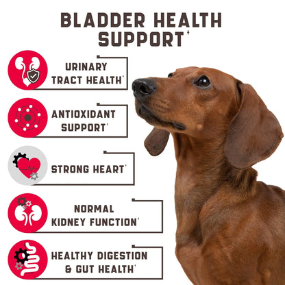 Professional Bladder Control Support Chews - Senior & Spayed Dogs