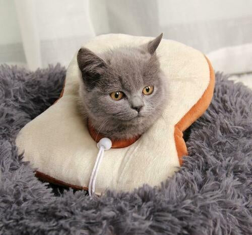 Comfort Recovery Collar for Cats - Soft Alternative to Plastic Cone