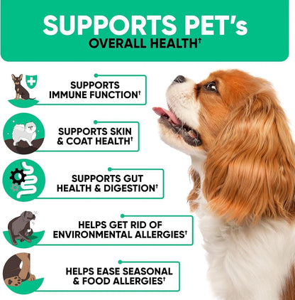 Natural Allergy Relief Chews - Anti-Itch Immune Support